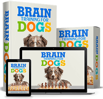 Brain Training For Dogs