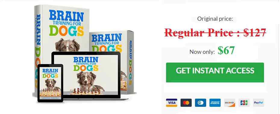 Brain Training For Dogs