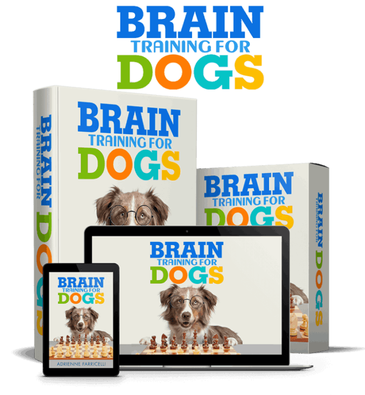 Brain Training For Dogs